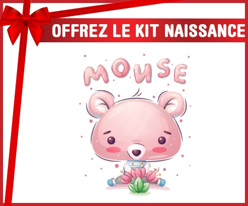 kit naissance bebé personalizado animales divertidos ratón