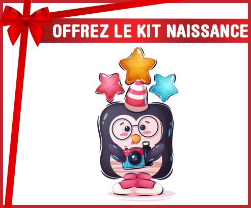 kit naissance bebé personalizado animales divertidos pinguin cámara
