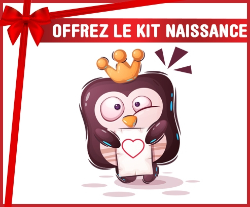 kit naissance bebé animales personalizados divertido pinguin carta del corazón