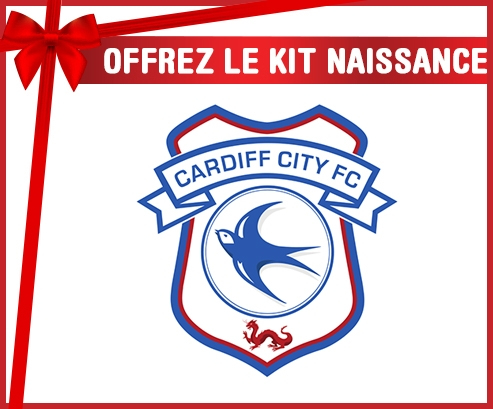 kit naissance club de fútbol personalizado del Cardiff City