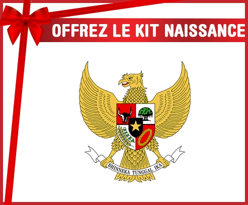 kit naissance bebé personalizado equipo nacional de fútbol de Indonesia