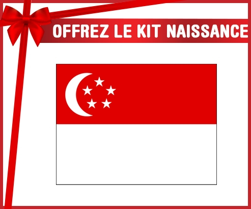 kit naissance bandera personalizada del bebé de Singapur