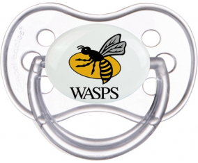 Londres avispa clásica piruleta anatómica transparente