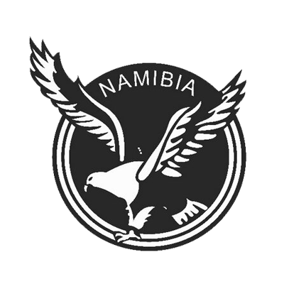 Logotipo de la selección nacional de fútbol de Namibia, ideal para personalizar artículos de bebé como chupetes y bodis.