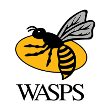 Chupete London Wasps, ideal para el cuidado y estilo de tu bebé. Perfecto para combinar con otros productos de nuestra tienda.