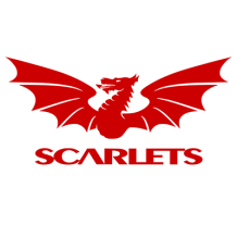 Chupete Llanelli Scarlets, ideal para los más pequeños. Diseño divertido y cómodo para bebés. Encuentra más en chupete-bebe.com.