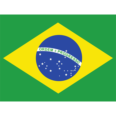 Bandera Oficial de Brasil, ideal para personalizar chupetes y accesorios de bebé en chupete-bebe.com.