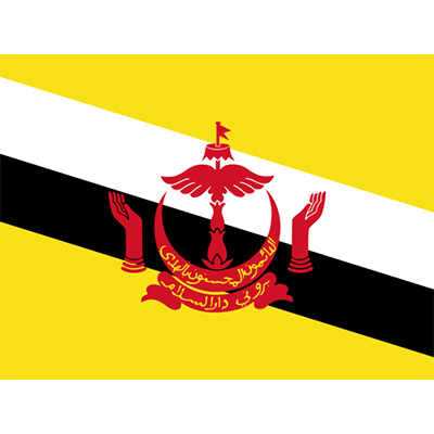 Bandera Oficial de Brunei Darussalam, ideal para complementar la ropa y accesorios de tu bebé. Encuéntralo en chupete-bebe.com.