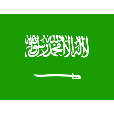 Bandera Oficial de Arabia Saudita, un diseño único para bebés en chupetes y accesorios. Ideal para el estilo de tu pequeño.