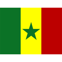 Bandera Oficial de Senegal para artículos de bebé, ideal para personalizar chupetes y accesorios.