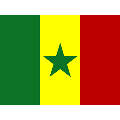 Bandera Oficial de Senegal para artículos de bebé, ideal para personalizar chupetes y accesorios.