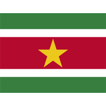 Bandera Oficial de Surinam, ideal para personalizar artículos de bebé en chupete-bebe.com.
