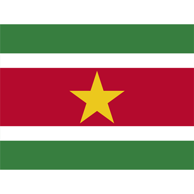 Bandera Oficial de Surinam, ideal para personalizar artículos de bebé en chupete-bebe.com.