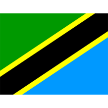Bandera Oficial de Tanzania, ideal para personalizar chupetes y bodis. Dale un toque especial a los artículos de tu bebé.