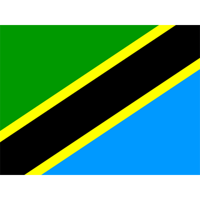 Bandera Oficial de Tanzania, ideal para personalizar chupetes y bodis. Dale un toque especial a los artículos de tu bebé.