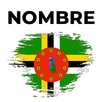 Cepillo Dominique efecto bandera, ideal para el cuidado de tu bebé. Discreto y práctico. Disponible en chupete-bebe.com.