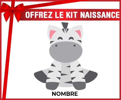 Kit para el nacimiento : estilo Zebra 3 - nombre