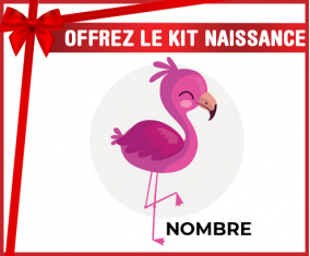 Kit para el nacimiento : Flamenco Rosa - nombre
