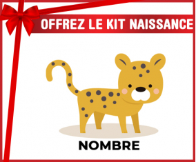 Kit para el nacimiento : Tiger style 2 - nombre