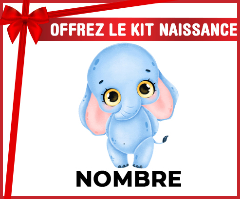 Kit para el nacimiento : Elefante bebé con nombre