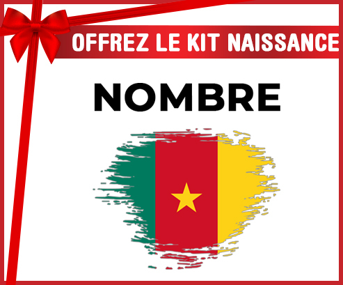 Kit para el nacimiento : Bandera del efecto pincel camerunés con nombre