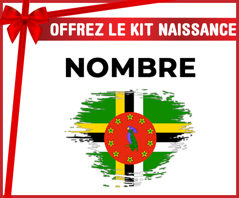 Kit para el nacimiento : Bandera del efecto pincel Dominique con nombre