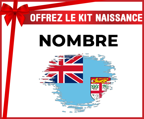 Kit para el nacimiento : Bandera del efecto pincel de Fiji con nombre