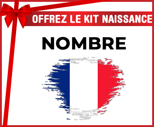 Kit para el nacimiento : France bandera de efecto pincel con nombre