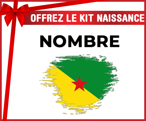 Kit para el nacimiento : Bandera de efecto pincel guayana francesa con nombre