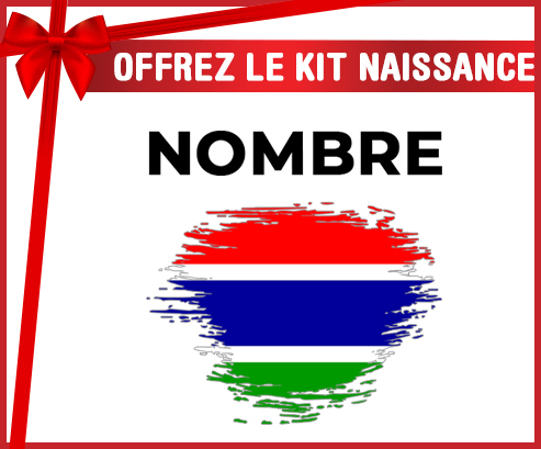 Kit para el nacimiento : Bandera del efecto pincel de Gambia con nombre