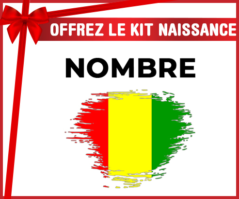 Kit para el nacimiento : Bandera del efecto pincel de Guinea Bissau con nombre