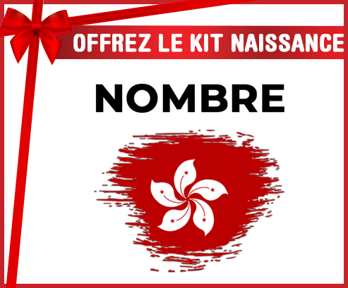 Kit para el nacimiento : Bandera del efecto pincel de Hong Kong con nombre