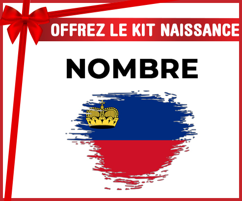 Kit para el nacimiento : Bandera del efecto pincel liechtenstein con nombre