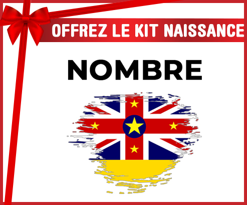 Kit para el nacimiento : Bandera del efecto pincel Niue con nombre