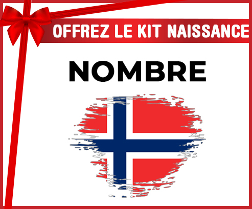 Kit para el nacimiento : Bandera del efecto pincel de Noruega con nombre