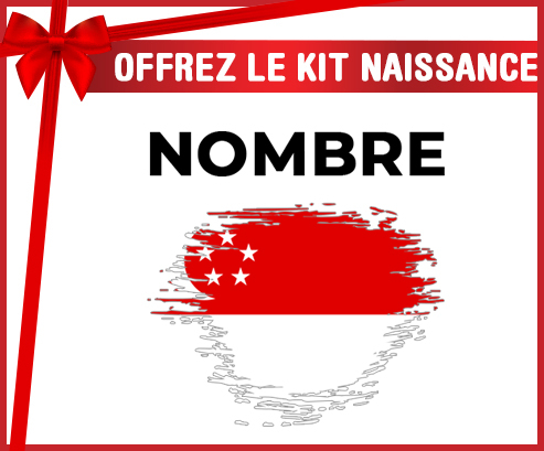 Kit para el nacimiento : Bandera del efecto pincel de Singapur con nombre