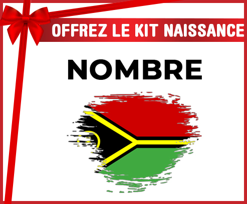 Kit para el nacimiento : Bandera del efecto pincel Vanuatu con nombre