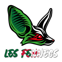 Diseño divertido de Les fennecs, ideal para pequeños aficionados al fútbol. Perfecto para complementar su ropa y accesorios.