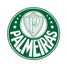 Chupete con diseño de Sociedade Esportiva Palmeiras, ideal para pequeños fanáticos. Encuentra más en chupete-bebe.com.